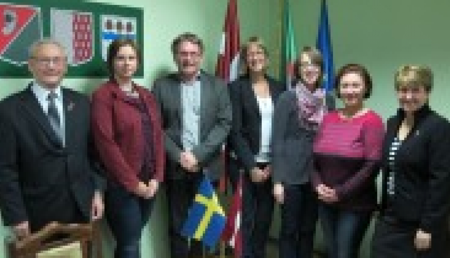 Ziemeļvalstu – Baltijas valstu sadarbības attīstīšana energoefektivitātes jomā