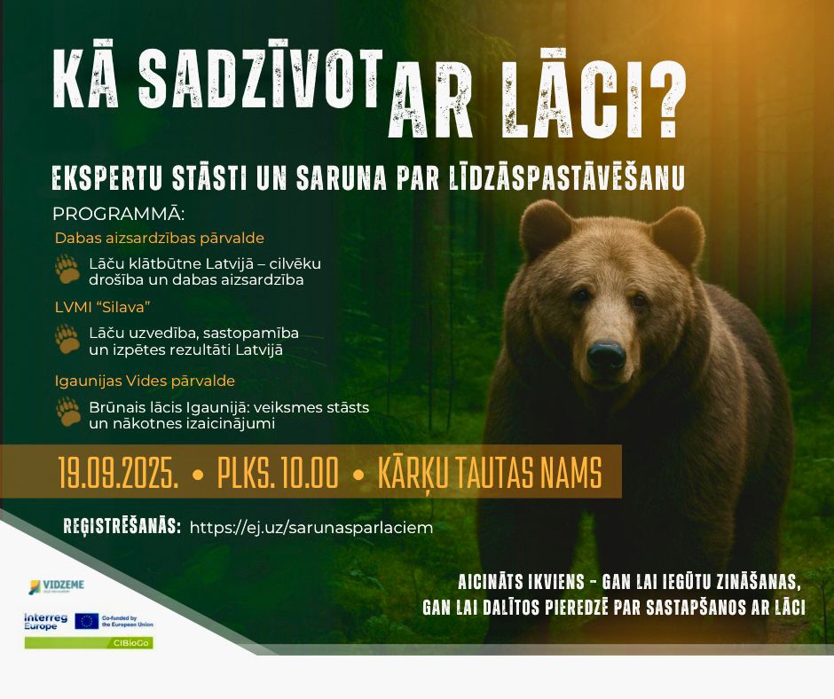 Saruna par lāčiem