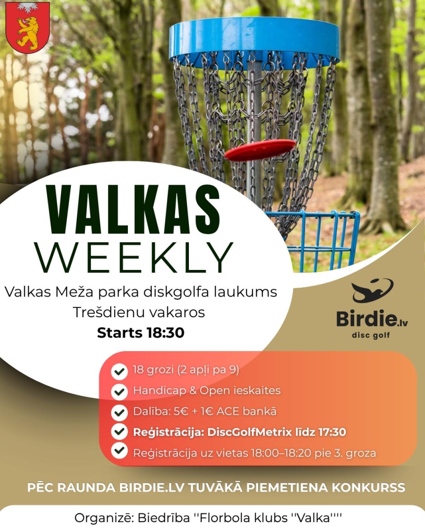 Disku golfs 