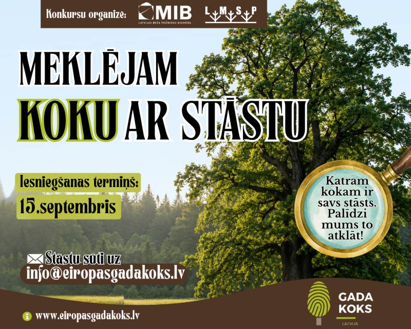 Eiropas gada koks