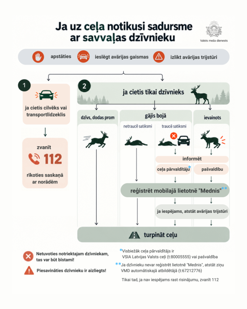 savvaļas dzīvnieks