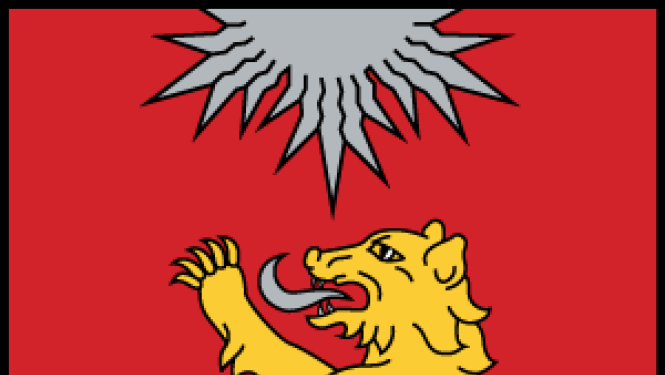 Paziņojums par detālplānojuma izstrādes uzsākšanu nekustamajam īpašumam Sēlijas ielā 6, Valkā (kadastra apz. 94010080178)