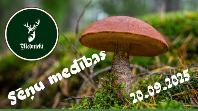 Sēņu medības