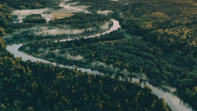 Ziemeļgauja