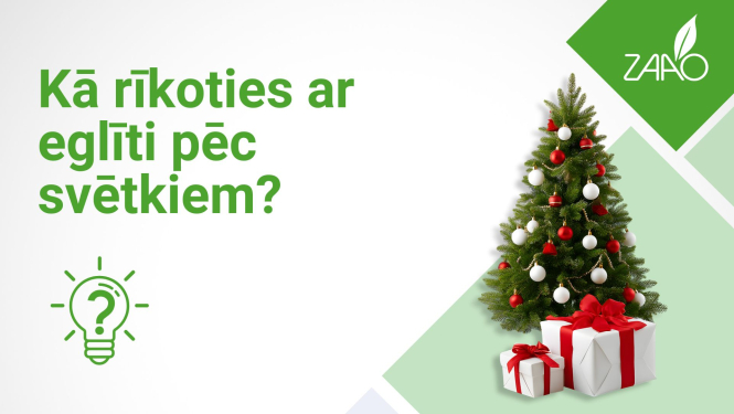 ZAAO eglīte