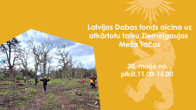 Talka Meža Tačos