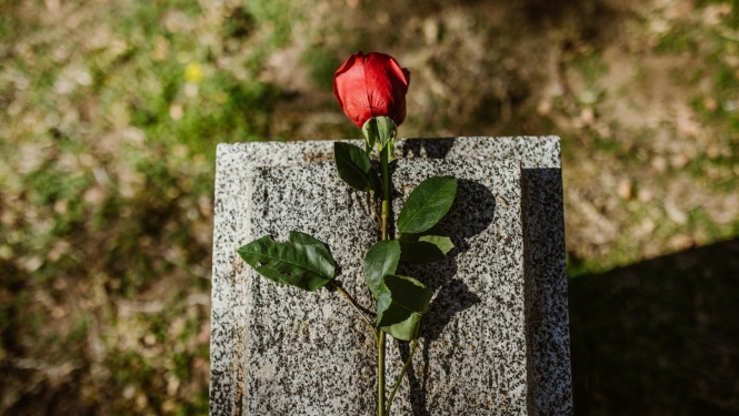Roze