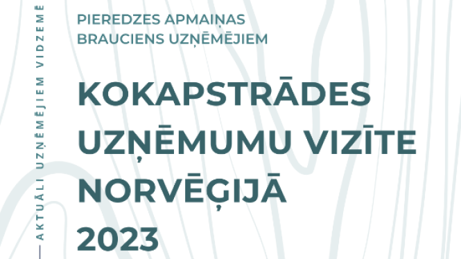 Projekta afiša