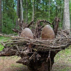 Lustiņdruvā atklāj jaunus vides objektus