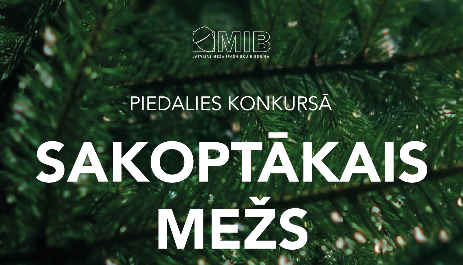 Sākusies pieteikšanās konkursam “Sakoptākais mežs 2022”