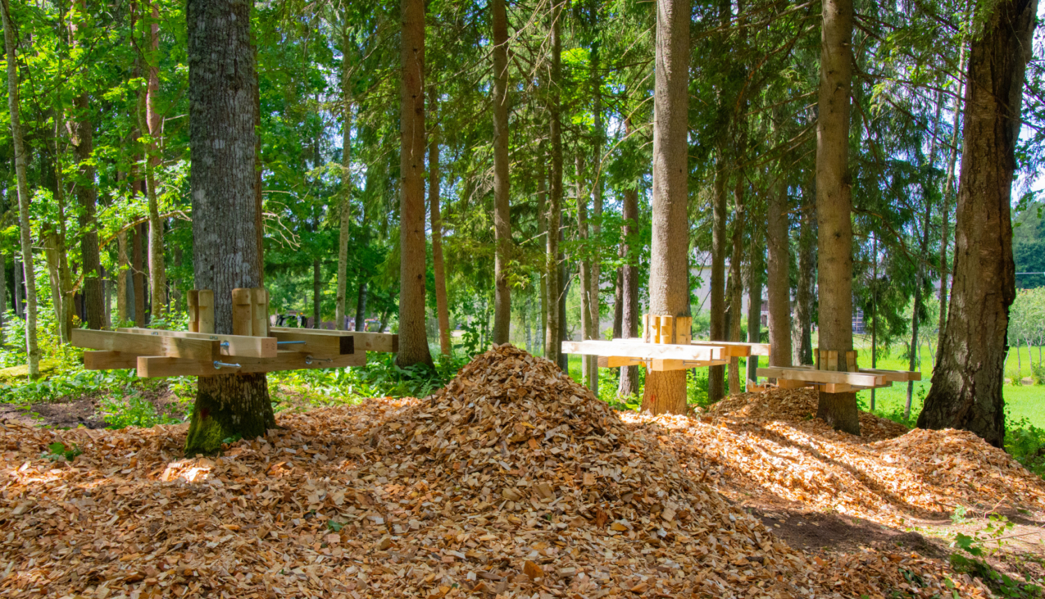 Lustiņdruva