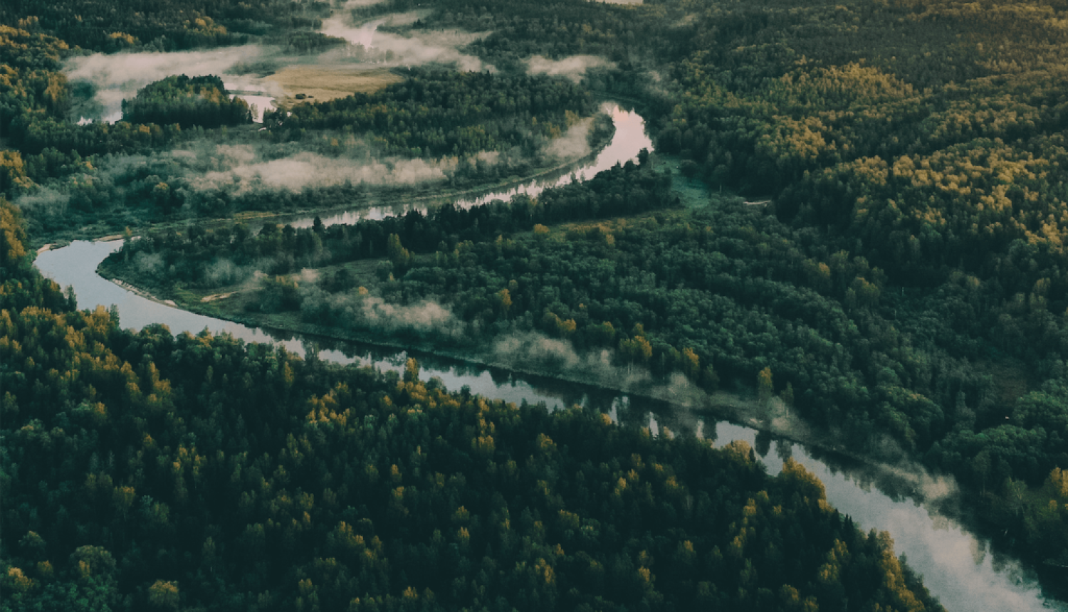 Ziemeļgauja