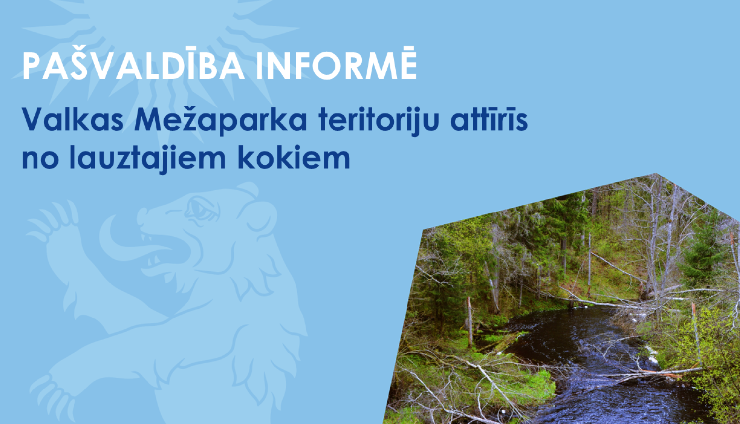 Zils baneris ar meža kokiem un upi