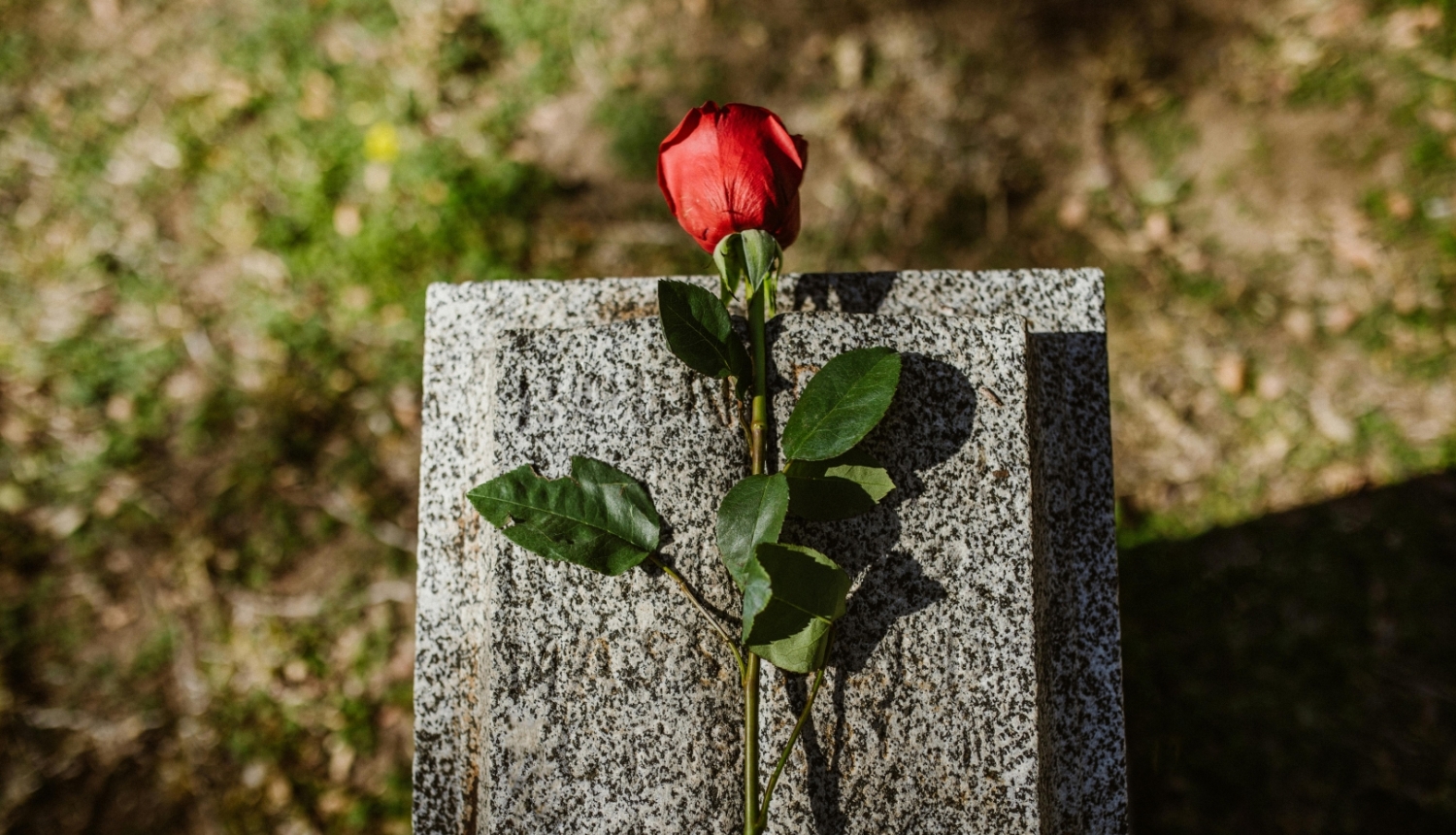 Roze