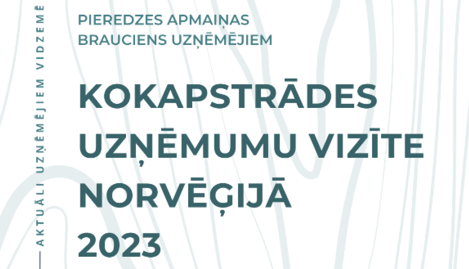 Projekta afiša