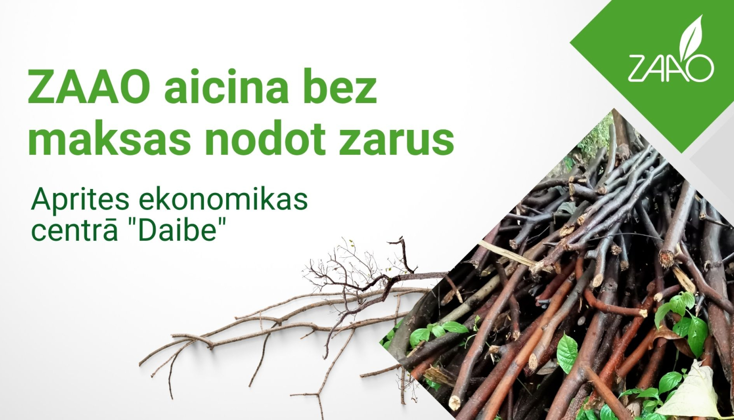 Zaru akcija