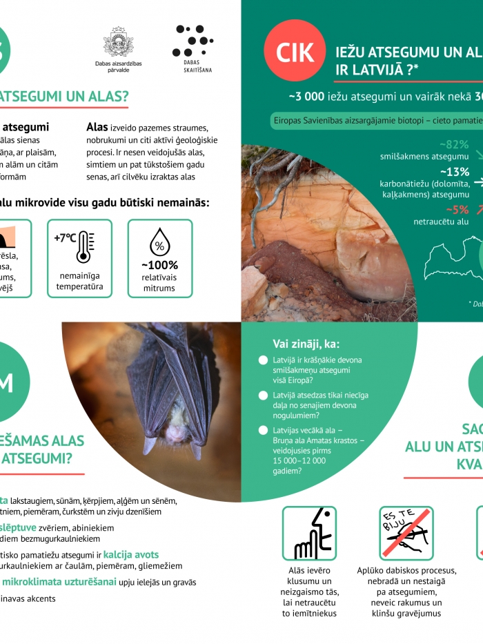 Infografika