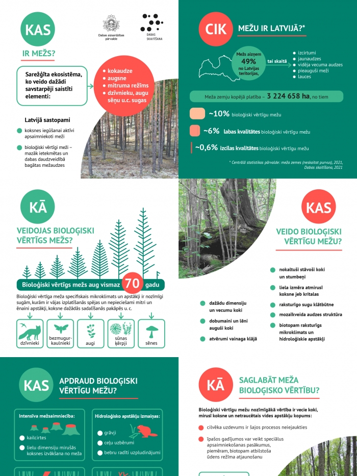Infografika