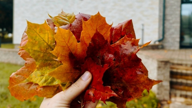 rudens lapas