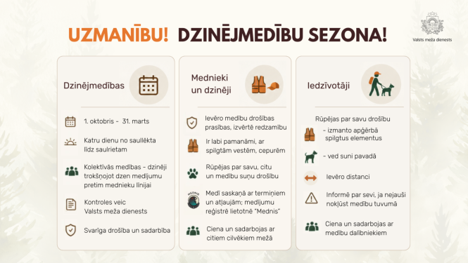 Infografika