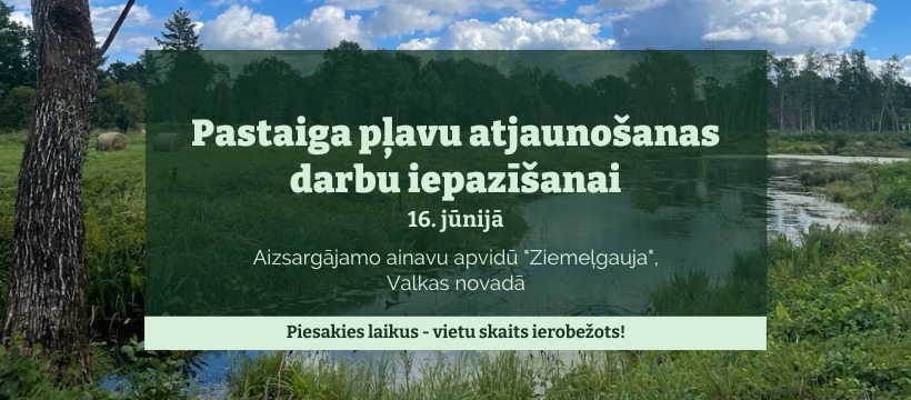 Afiša
