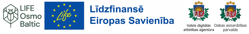 Projekta logo ansamblis