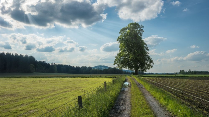 No 12.aprīļa var pieteikties platību maksājumiem