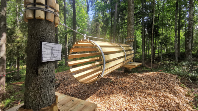 Koka elements Lustiņdruvā