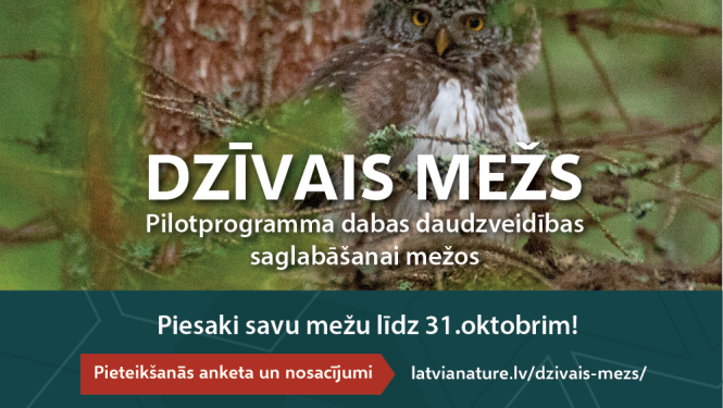 Veidos jaunus sadarbības modeļus dabas vērtību saglabāšanai privātajos mežos