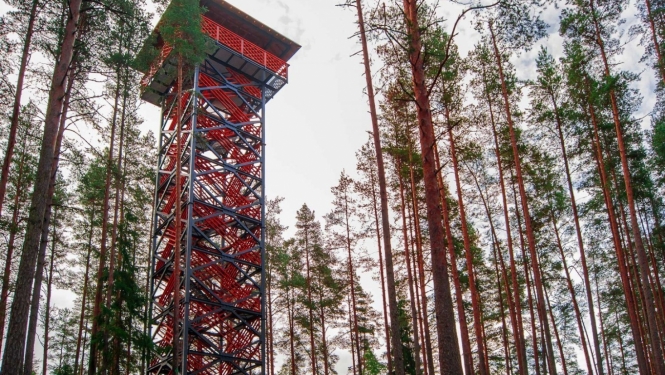 Cirgaļu tornis