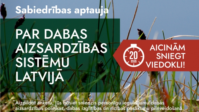 Savvaļas pļava tuvplānā