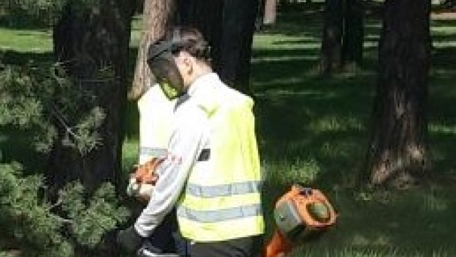 Karstajā laikā sētnieki darbu uzsāks agrāk