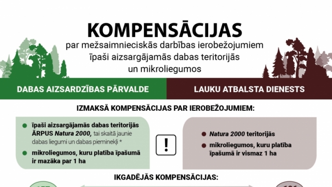 Zaļa un brūna inforgrafika par komensācijām