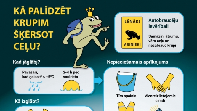 Infografika - kā palīdzēt krupi šķērsot ceļu?