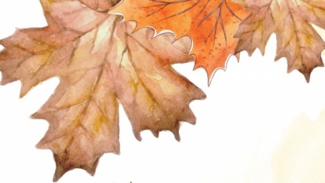 Rudens lapa