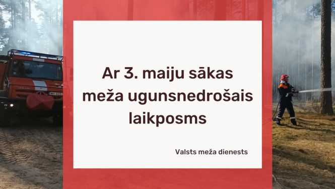 Ugunsdzēsēji dzēš ugunsnelaimi mežā