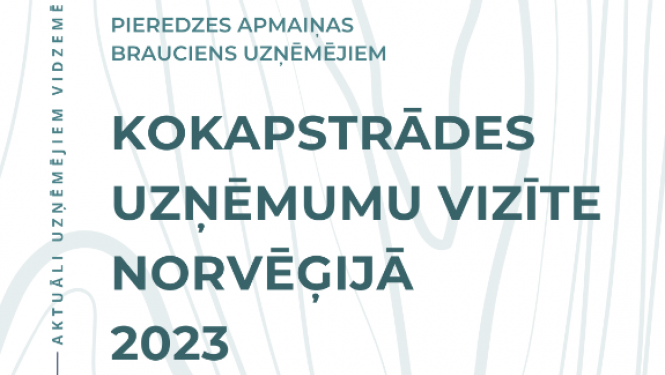 Projekta afiša