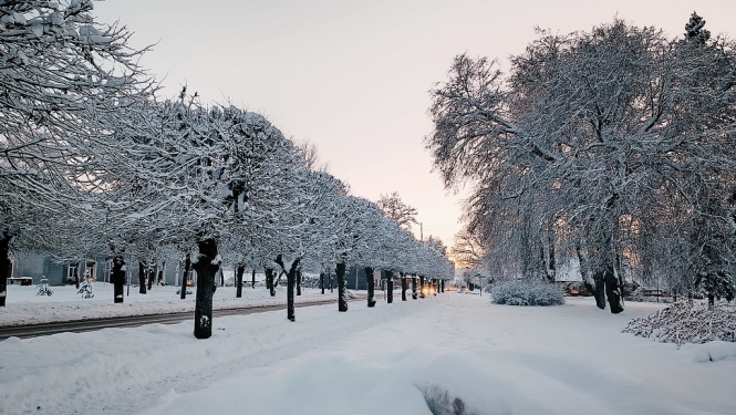 Ziemīgie mirkļi Valkas pilsētā (D.Pūce) 12.12.2022