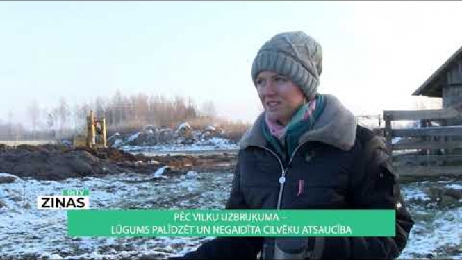 Pēc vilku uzbrukuma negaidīta cilvēku atsaucība mājlopu novietņu izveidei Z/S "Kurģi"