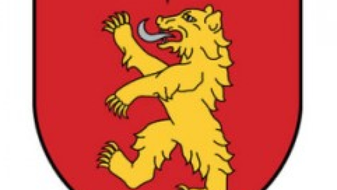 Paziņojums par nomas tiesību izsoli uz zemes gabaliem un zemes gabalu daļām Valkā un Valkas pagastā