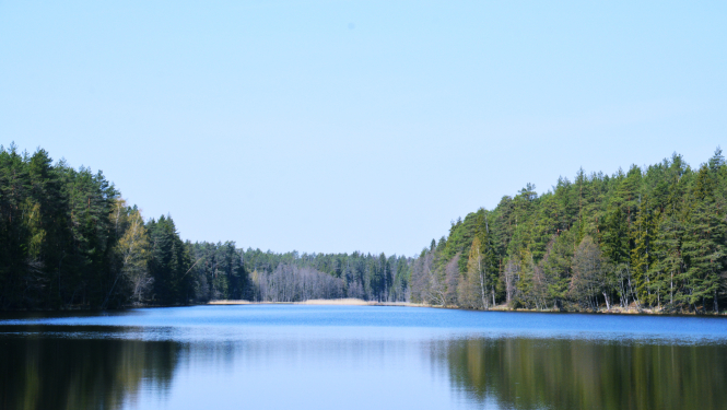 Zāģavota ūdens kvalitāte atbilst drošības prasībām