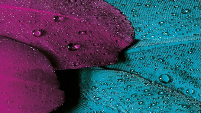 Valkas bibliotēkā būs skatāma aprīļa jubilāriem – novada literātiem veltīta izstāde