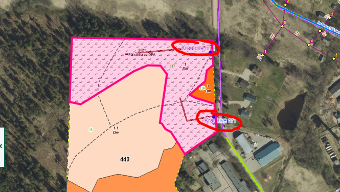 Valkas pilsētā Ausekļa ielā tiek veikta pameža kopšana un koku ciršanas darbi