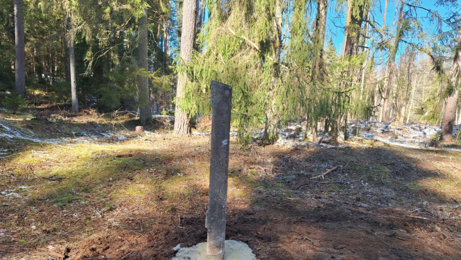 Iebetonēts stabs meža zemē