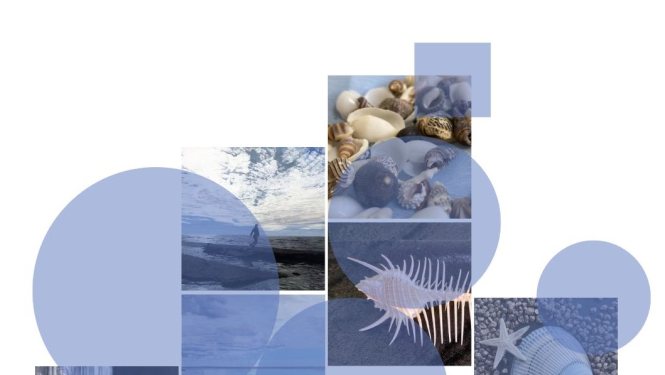 Valkas bibliotēkā gleznu un gliemežvāku kolekcijas izstāde