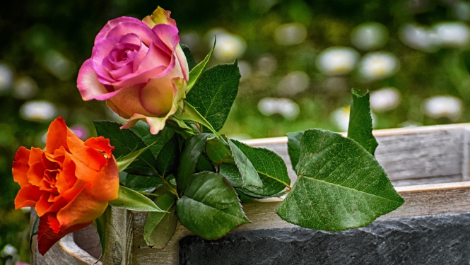 Valkas novada pašvaldības komunālās nozares darbiniekiem velta pateicības balli un pasniedz pateicības rakstus