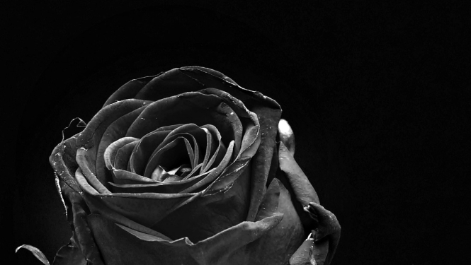 Mūžībā aizgājis "Valkas Novada Vēstis" maketētājs Arnis Ozoliņš