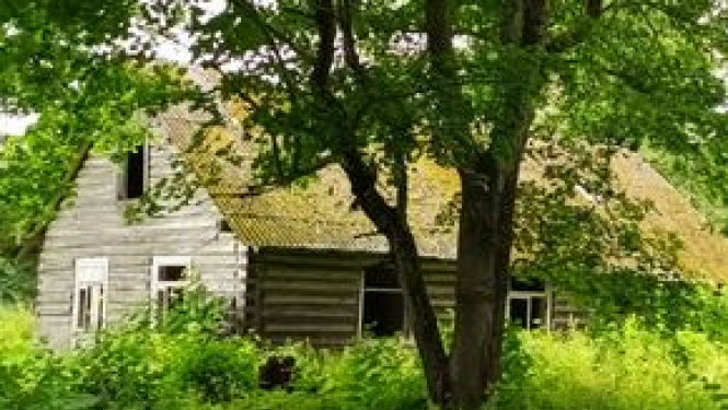 Iespējams iegādāties nekustamo īpašumu Zvārtavas pagastā