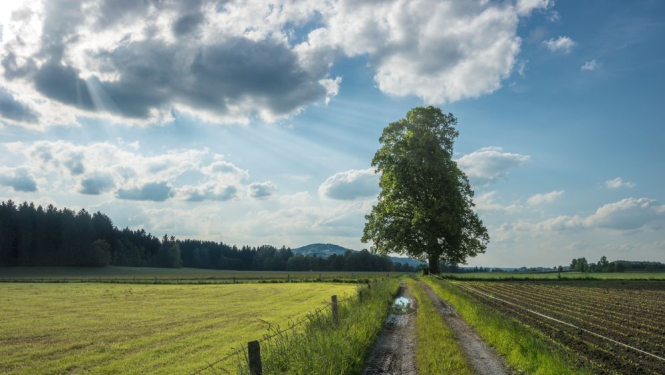 No 12.aprīļa var pieteikties platību maksājumiem