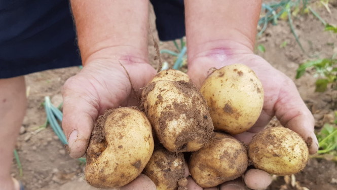 Aicina NVO pieteikt idejas grūtībās nonākušo cilvēku atbalstam